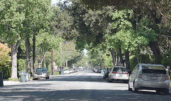 Palo Alto, on Silicon Valley tour- www.CourtneyPrice.com #girlTECH